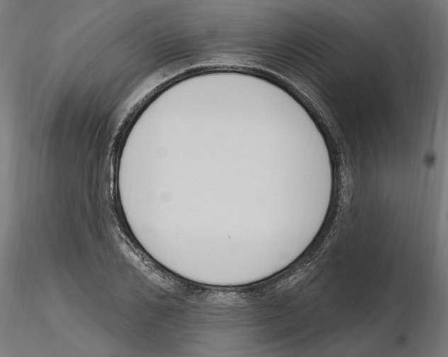X0000116510982201001061219