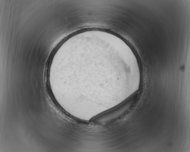 X0000116510983201001061219
