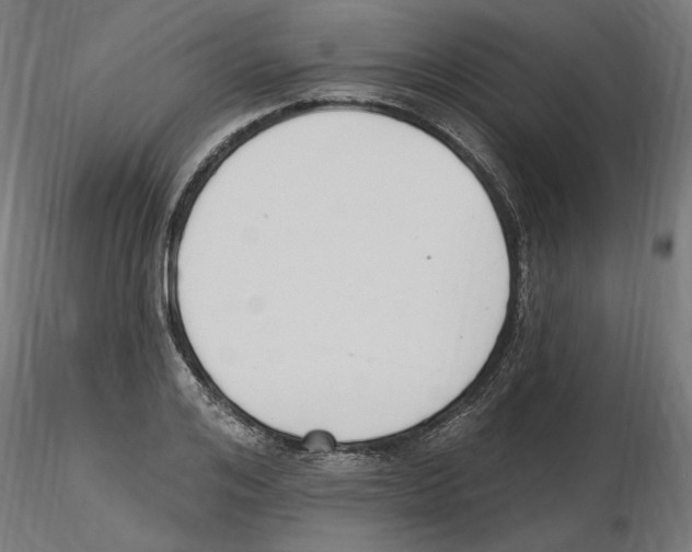 X0000116510984201001061219