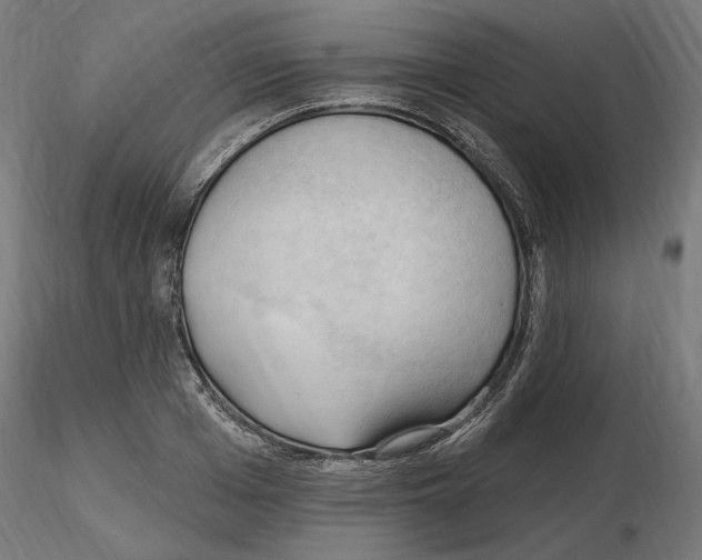 X0000116510985201001061219