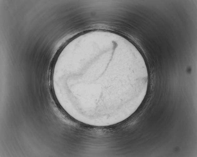 X0000116510987201001061219