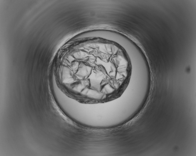 X0000116510989201001061219