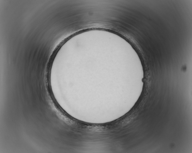 X0000116510991201001061219