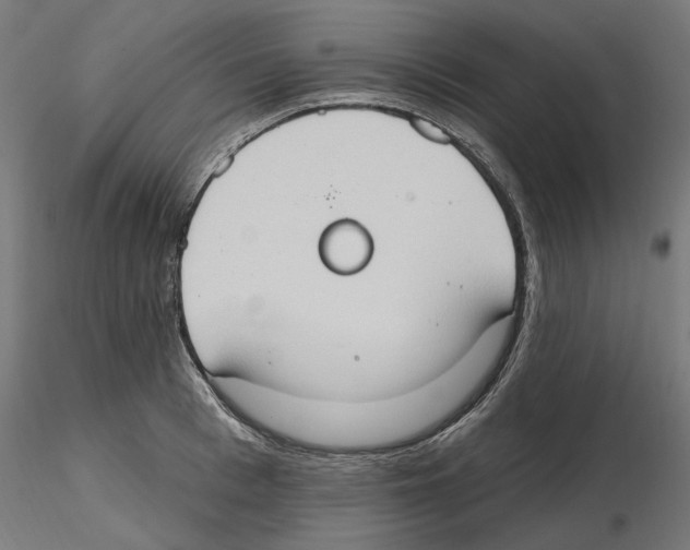 X0000116510993201001061219