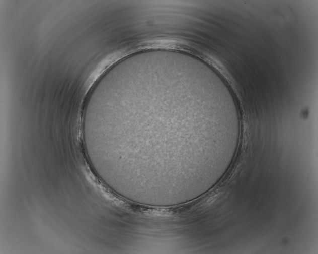 X0000116510994201001061219