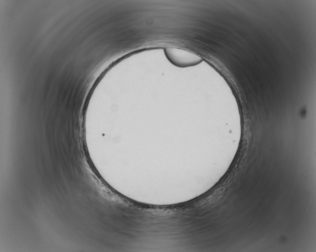 X0000116510996201001061219