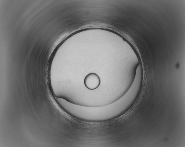 X0000116510997201001061219