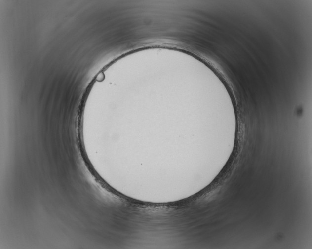 X0000116510999201001061219