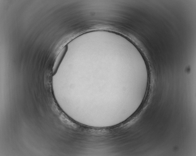 X0000116511001201001061219