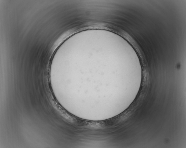 X0000116511002201001061219