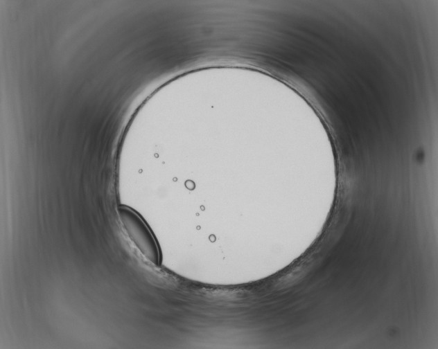 X0000116511004201001061219