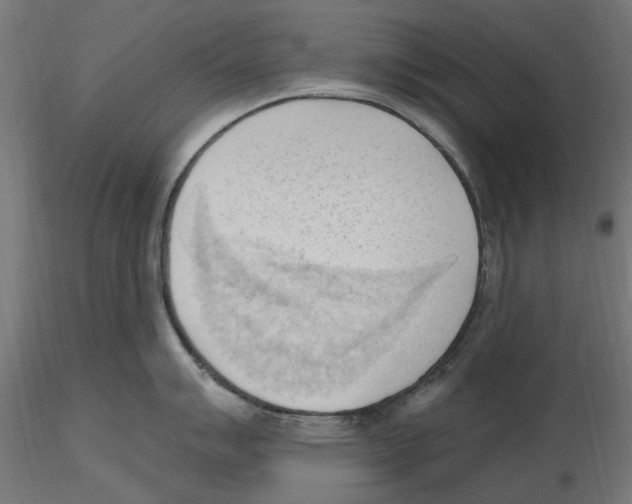 X0000116511007201001061219