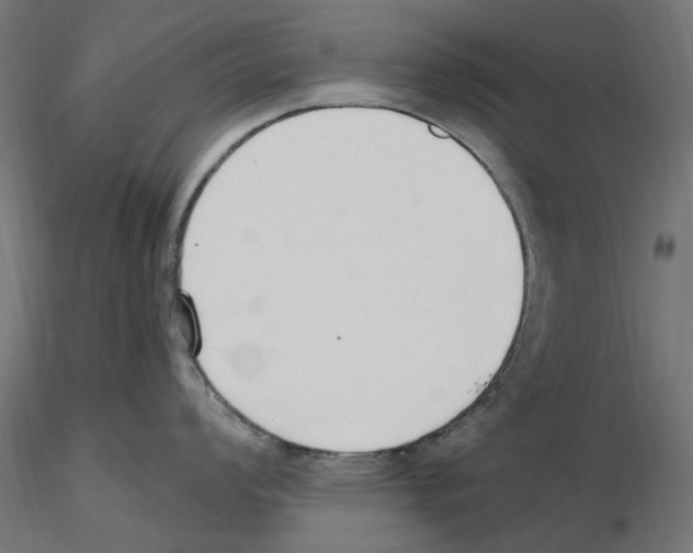 X0000116511008201001061219