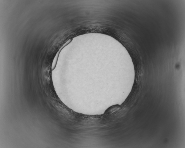 X0000116511010201001061218