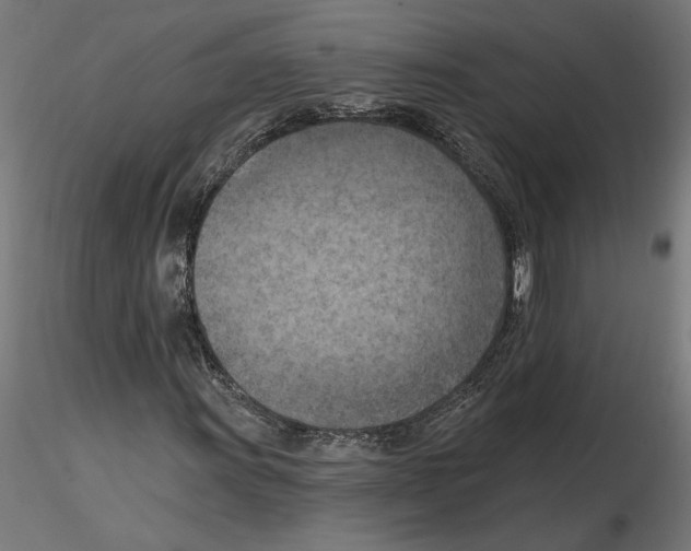 X0000116511011201001061218
