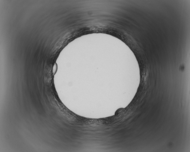 X0000116511012201001061218