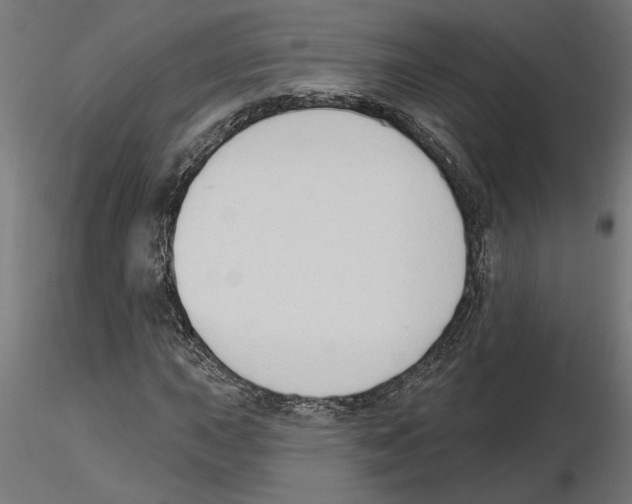X0000116511015201001061218