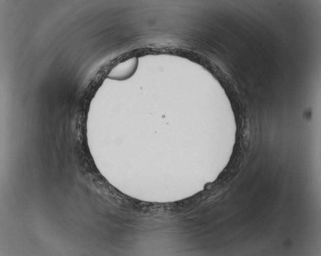X0000116511016201001061218