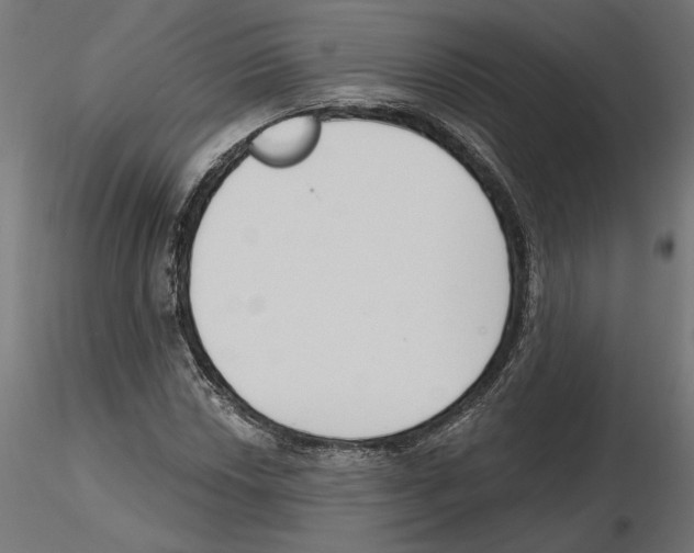 X0000116511018201001061218
