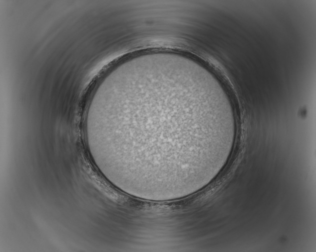 X0000116511019201001061218