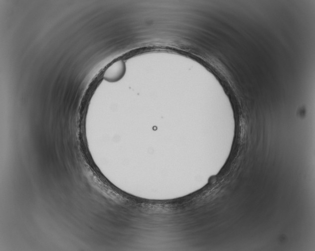 X0000116511020201001061218
