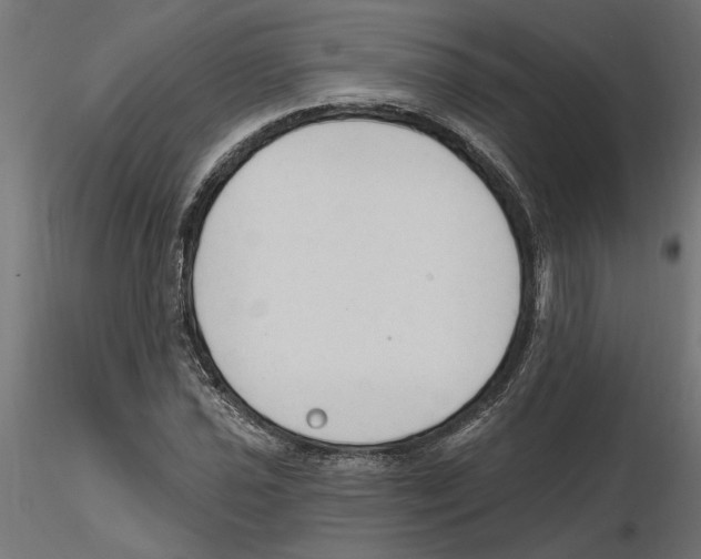 X0000116511021201001061218
