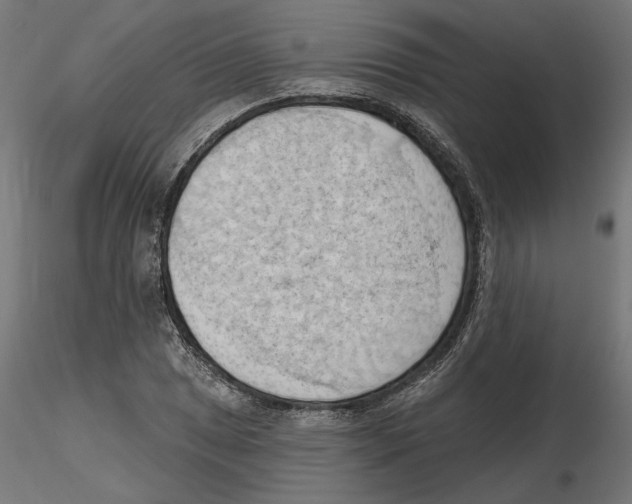 X0000116511025201001061218