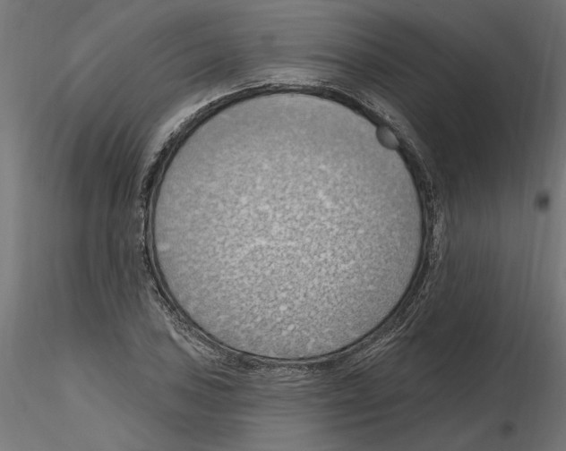 X0000116511027201001061219