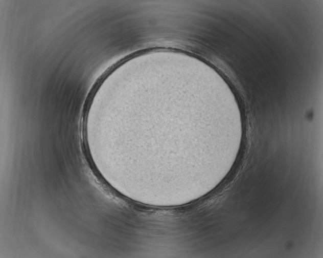 X0000116511028201001061219