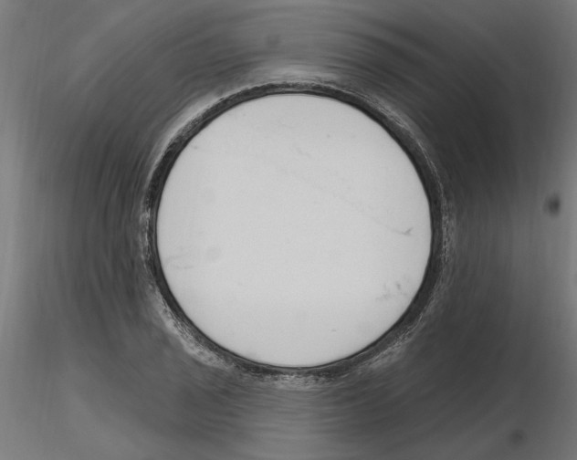 X0000116511029201001061219