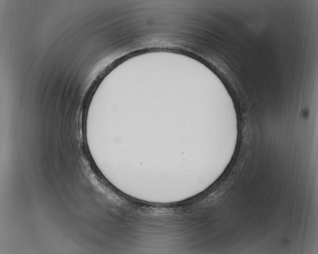 X0000116511030201001061219