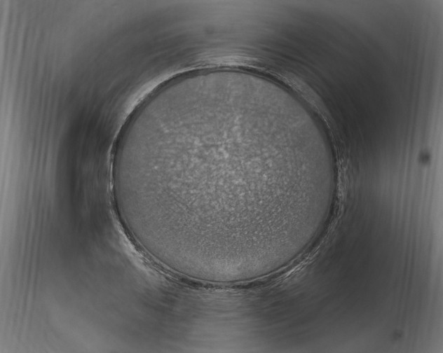 X0000116511031201001061219