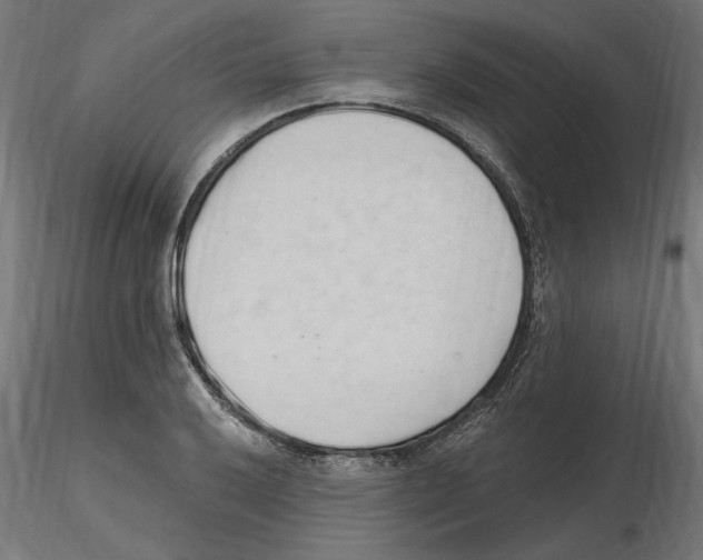 X0000116511032201001061219