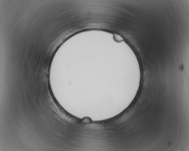 X0000116511033201001061219
