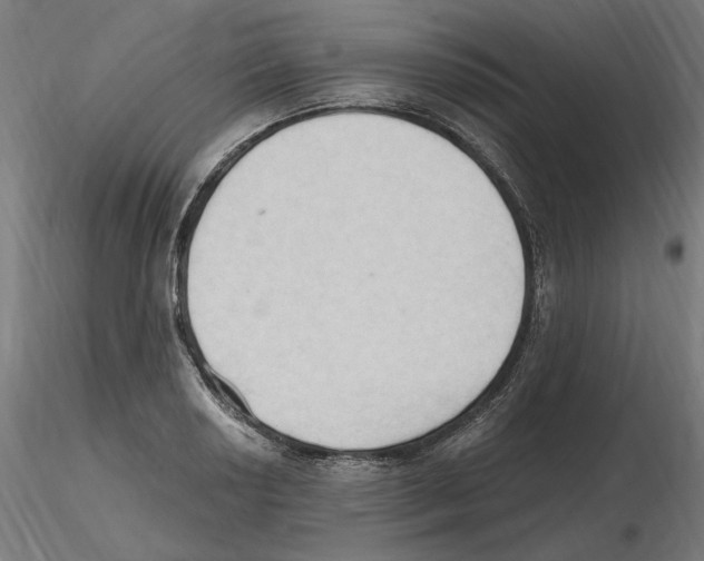 X0000116511034201001061219