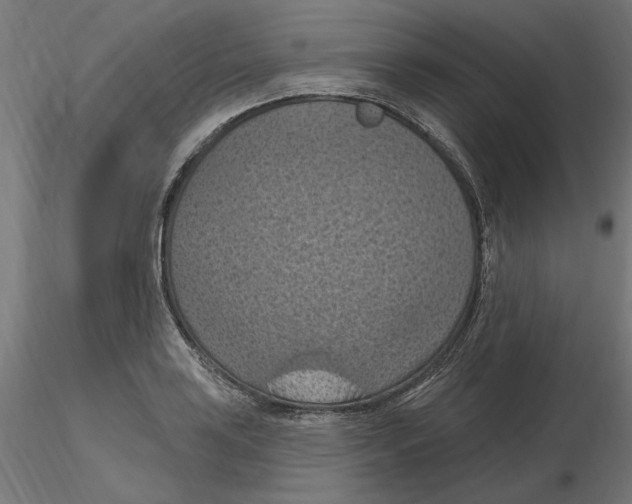 X0000116511035201001061219