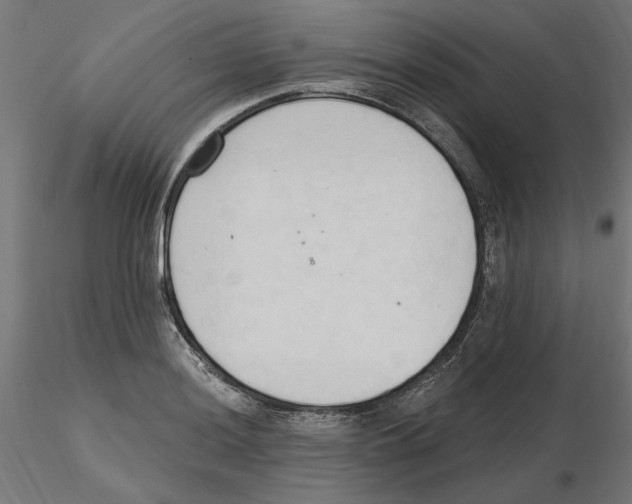 X0000116511036201001061219