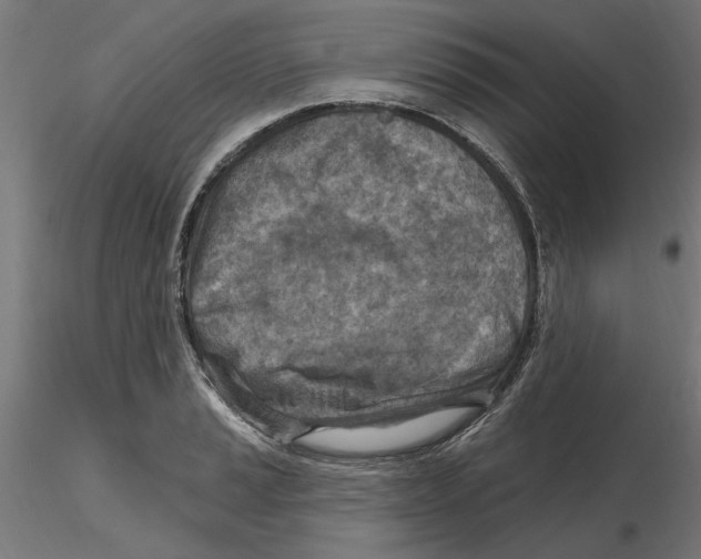 X0000116511037201001061219