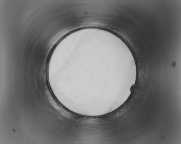 X0000116511038201001061219