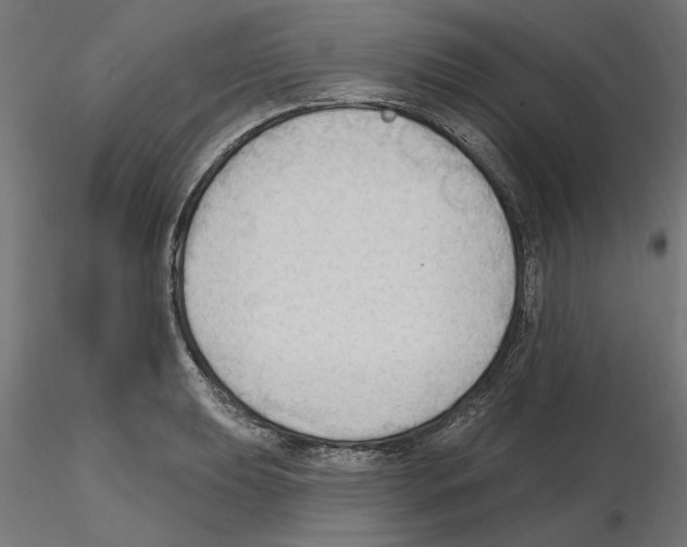 X0000116511039201001061219