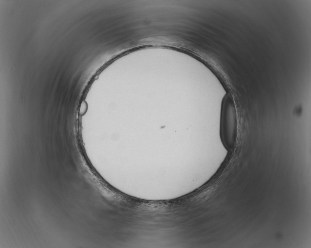 X0000116511040201001061219