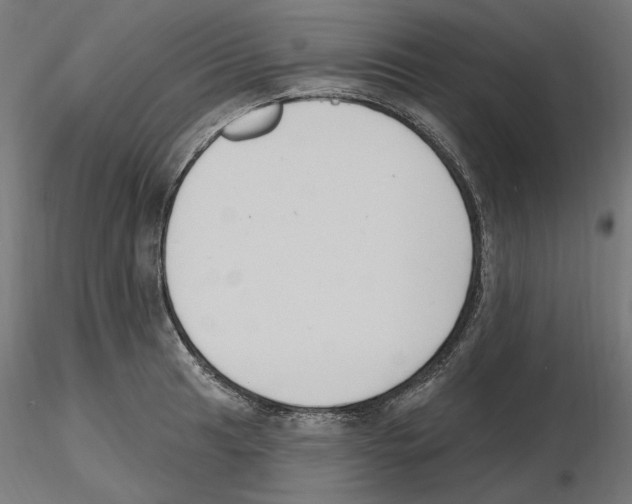 X0000116511041201001061219