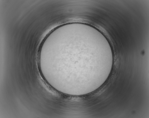 X0000116511043201001061219