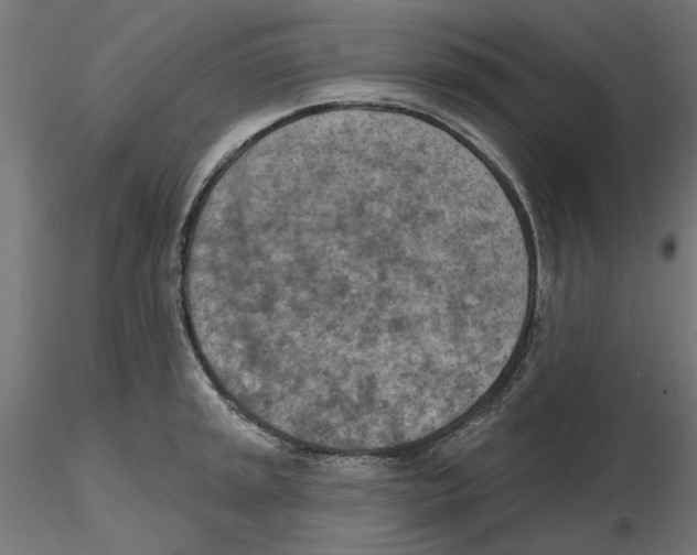 X0000116511045201001061219