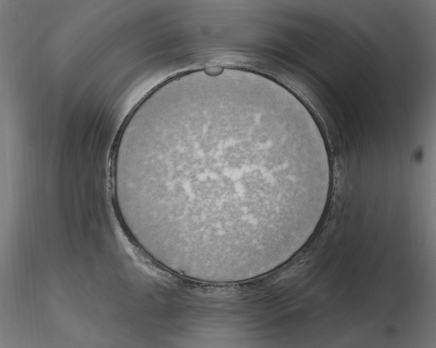 X0000116511047201001061219