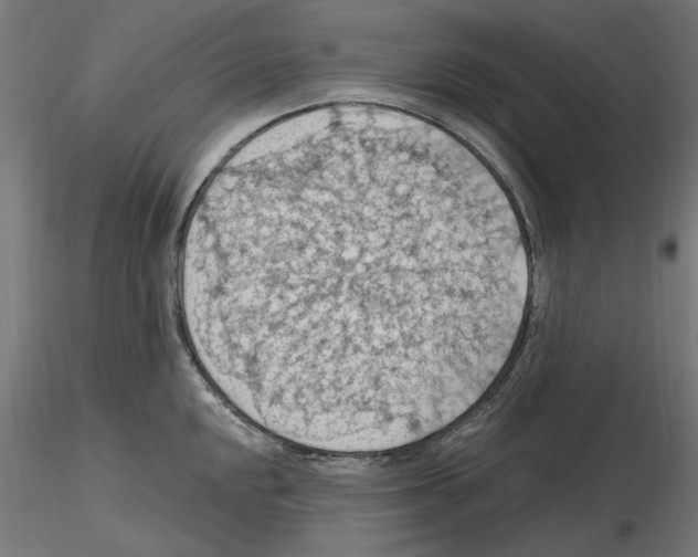 X0000116511048201001061219
