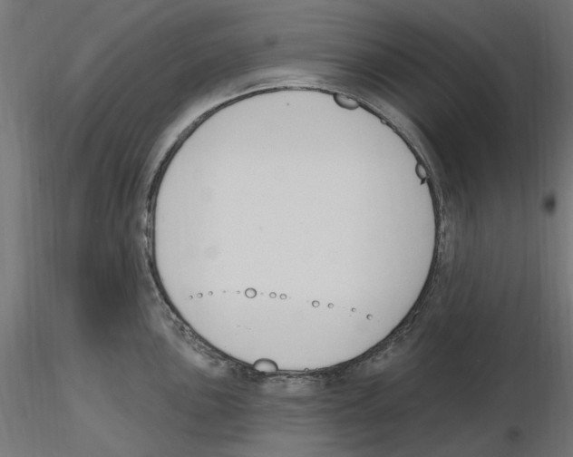 X0000116511051201001061219