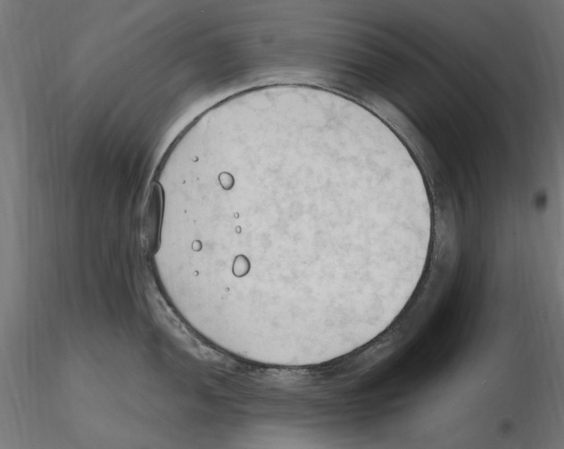X0000116511052201001061219