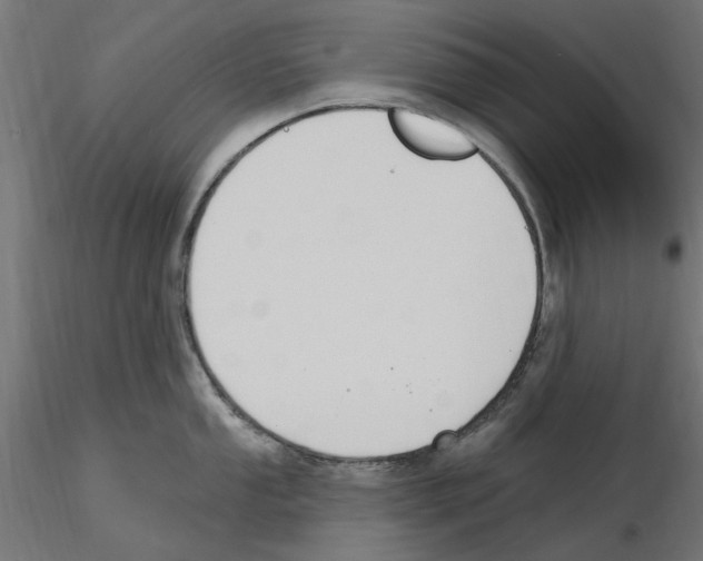 X0000116511053201001061219