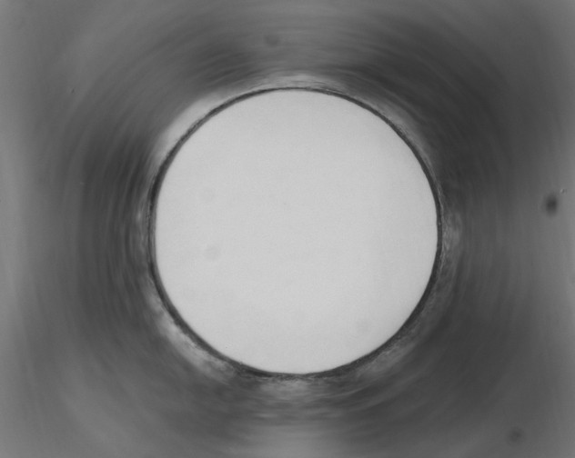X0000116511054201001061219